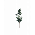 ASA künstlicher Eukalyptuszweig grün L. 80 cm