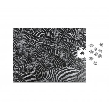 Printworks Puzzle Zebra 500 Teile 21,5x21,5 cm