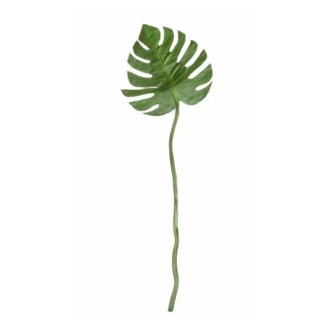 ASA Philodendronblatt Länge 72 cm, grün